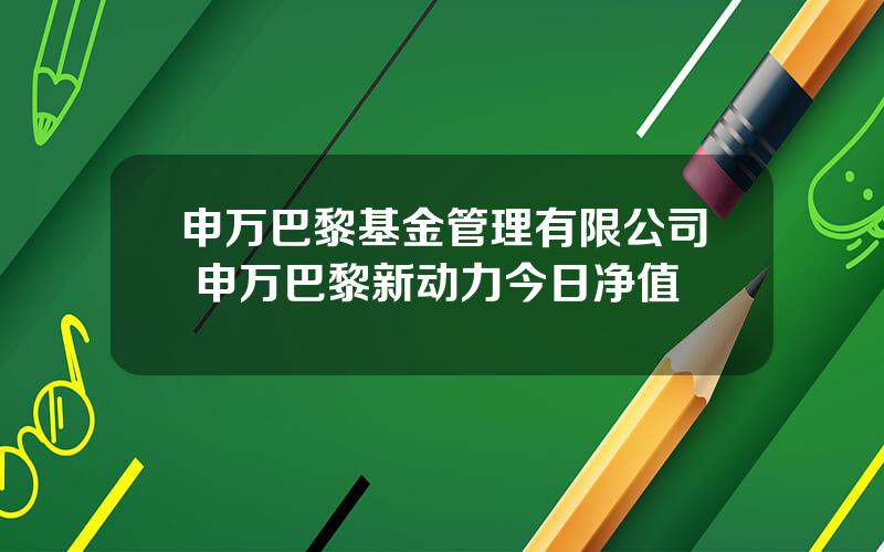 申万巴黎基金管理有限公司 申万巴黎新动力今日净值